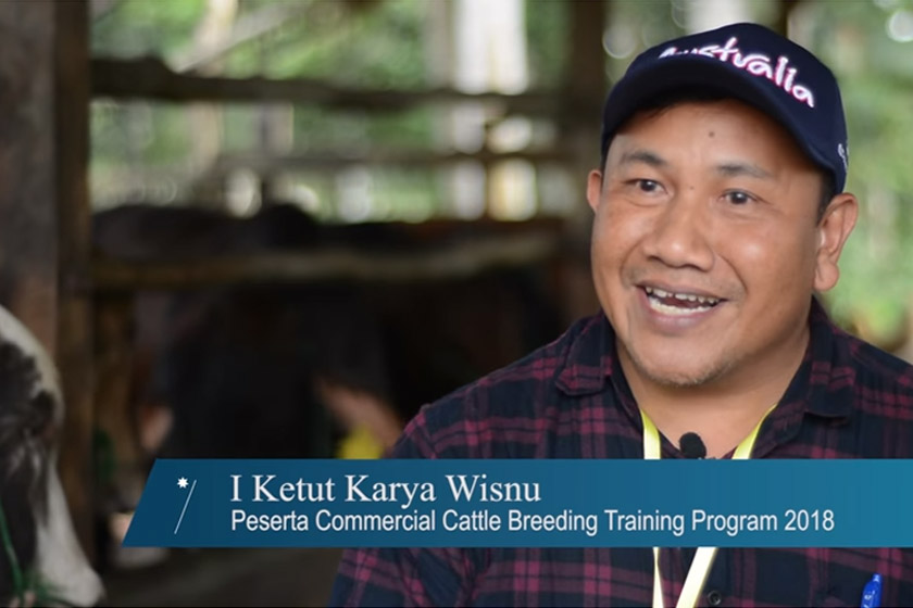 Commercial Cattle Breeding Training Program 2018